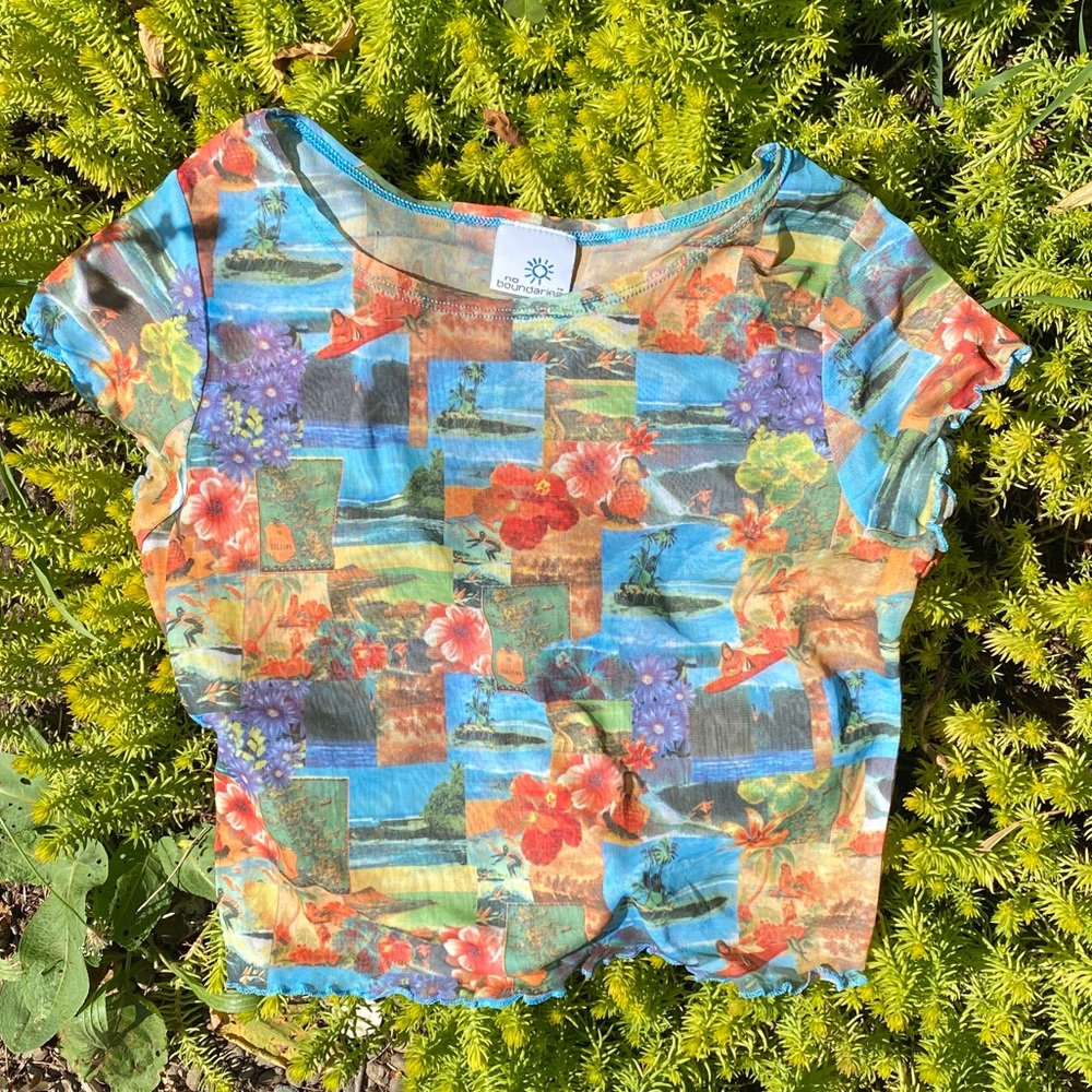 Sheer vintage no boundaries cropped baby tee